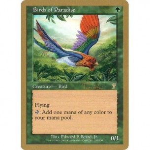 Birds of Paradise