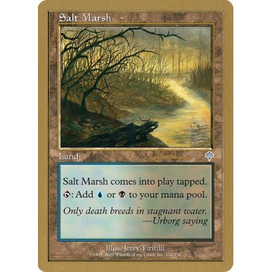Salt Marsh