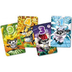 Procioni in Cassa 4! 2