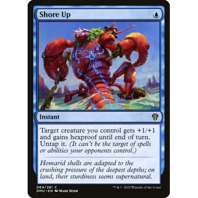 Shore Up
