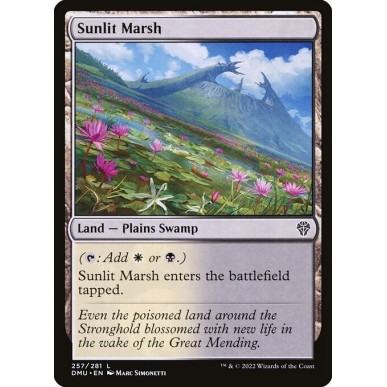 Sunlit Marsh