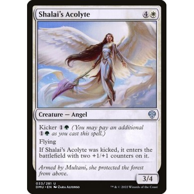 Shalai's Acolyte