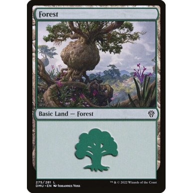 Foresta