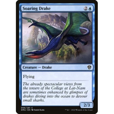 Soaring Drake