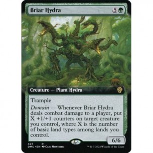 Briar Hydra