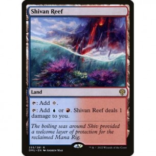 Barriera di Shiv