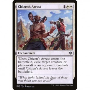 Arresto del Cittadino