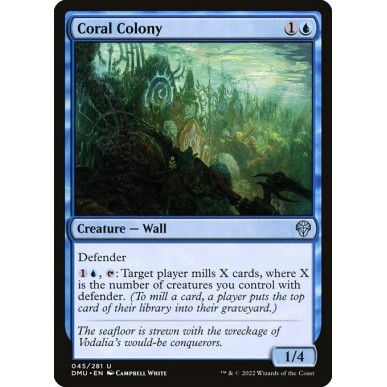 Coral Colony