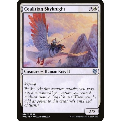 Coalition Skyknight