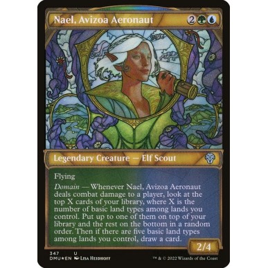 Nael, Avizoa Aeronaut