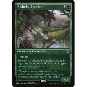Nishoba Lottatore