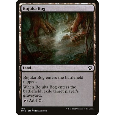 Acquitrino di Bojuka