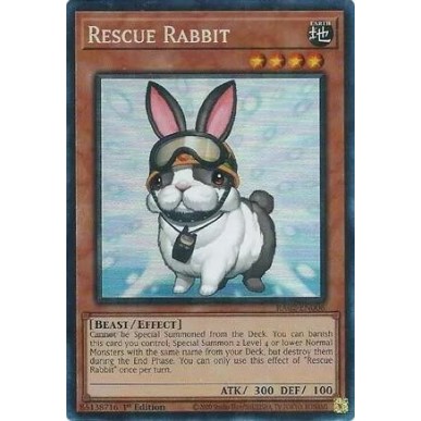Rescue Rabbit (V.6 - Collectors Rare)