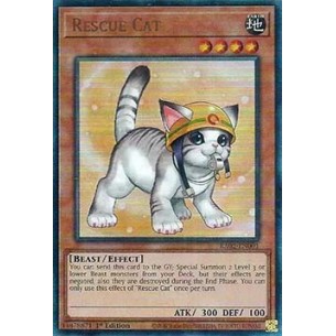 Gatto da Soccorso (V.14 -...