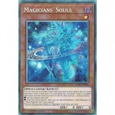 Magicians' Souls (V.6 - Collectors Rare)
