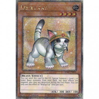 Rescue Cat (V.12 - Quarter Century...