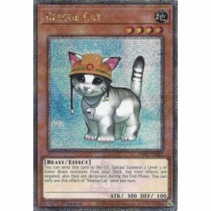 Gatto da Soccorso (V.5 -...