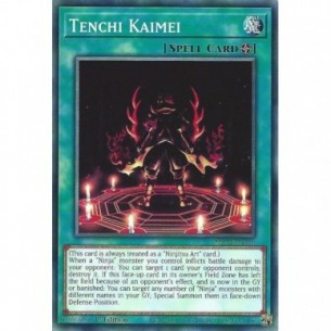 Tenchi Kaimei