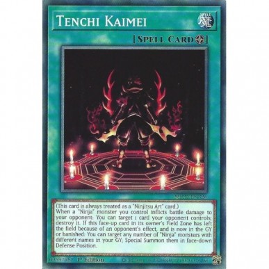 Tenchi Kaimei