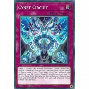 Circuito Cynet