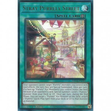 Strada Purrely Randagia