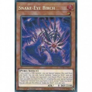 Occhi di Serpente Betulla