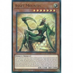 Patrimonio Montide