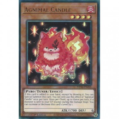 Agnimale Candela