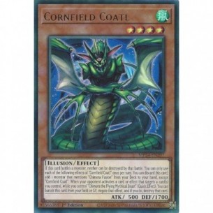 Coatl Campo di Grano