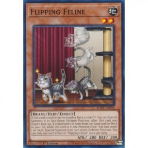 Ribaltamento Felino