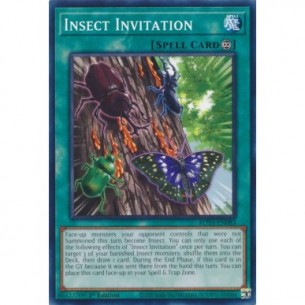 Invito Insetti