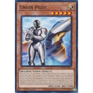 Aviatore Unione