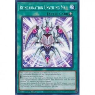 Annuncio Reincarnazione Maglia