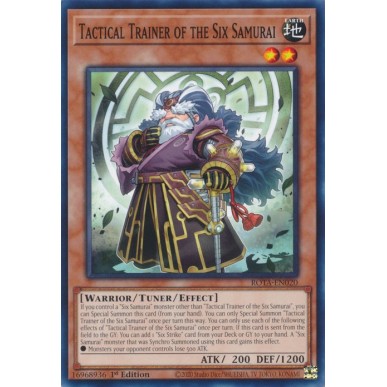Allenatore Tattico dei Sei Samurai