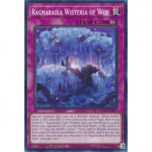 Glicine dei Guai Ragnaraika