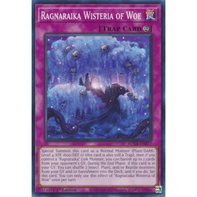 Glicine dei Guai Ragnaraika
