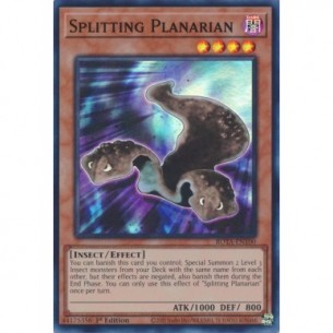 Scissione Planaria