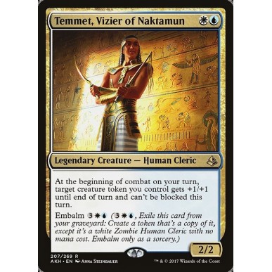 Temmet, Visir di Naktamun