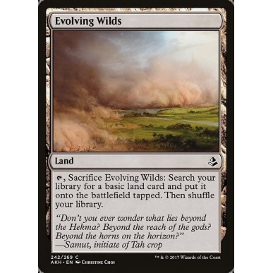 Evolving Wilds