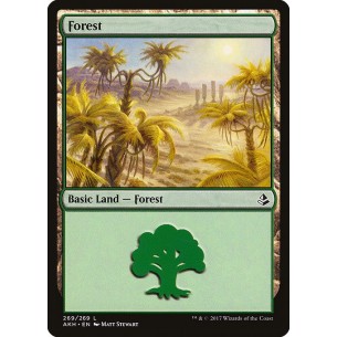 Forest
