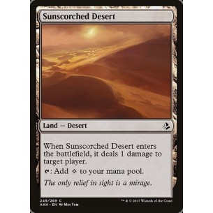 Sunscorched Desert