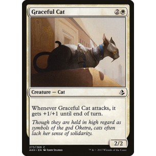 Gatto Aggraziato