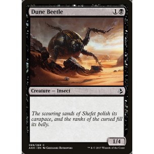 Dune Beetle