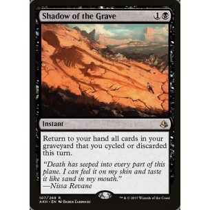 Shadow of the Grave