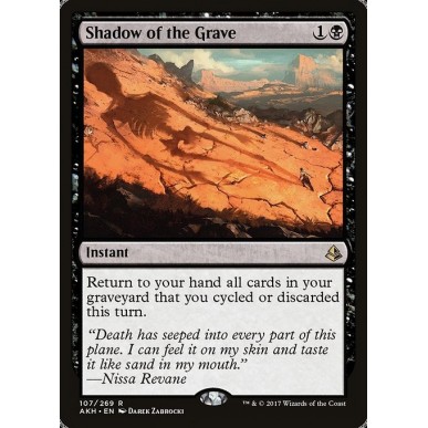 Shadow of the Grave