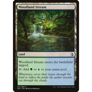 Woodland Stream