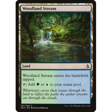 Woodland Stream