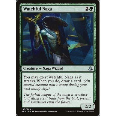 Naga Osservatore