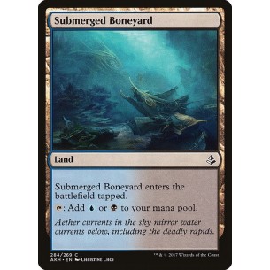 Submerged Boneyard