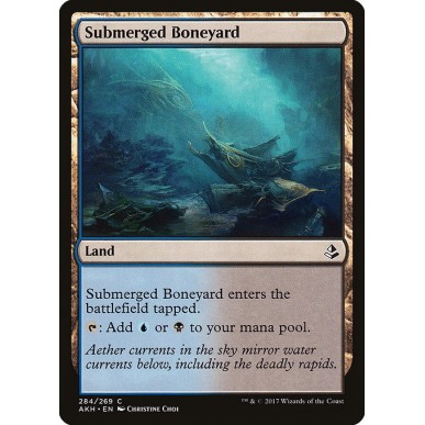 Submerged Boneyard